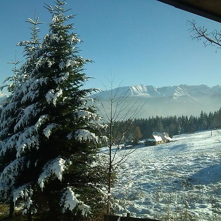 Panorama Tatr Hotel Zakopane Esterno foto
