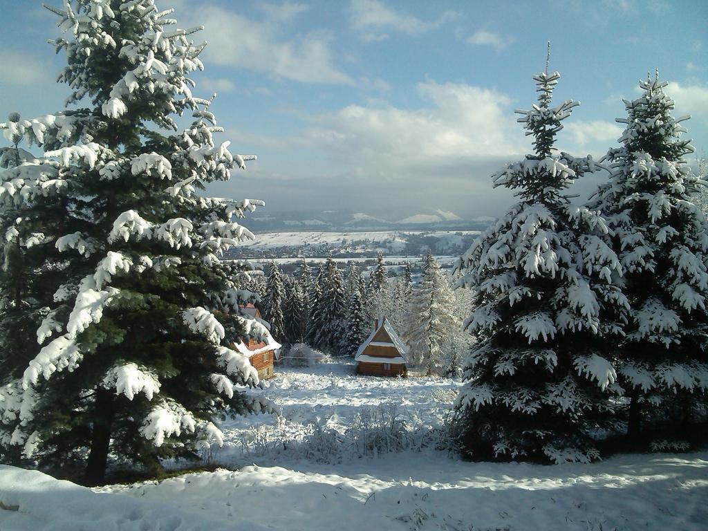Panorama Tatr Hotel Zakopane Esterno foto