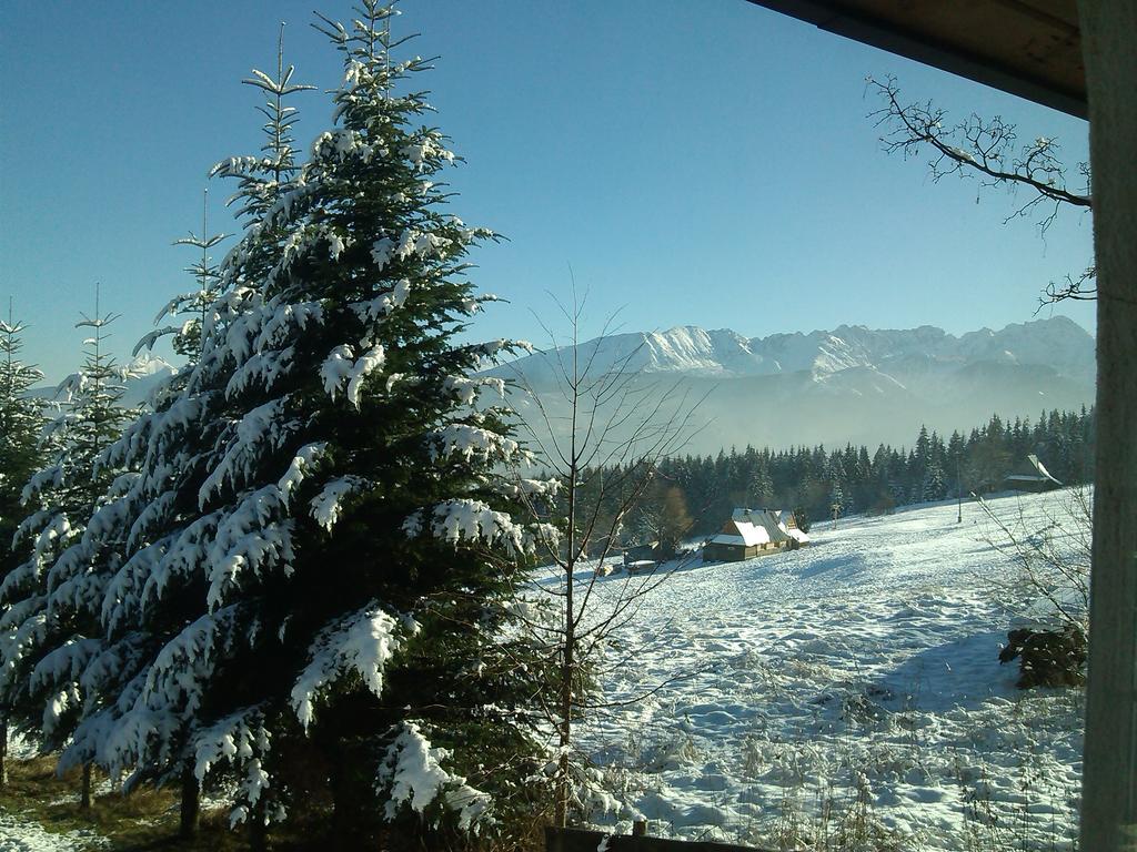 Panorama Tatr Hotel Zakopane Esterno foto
